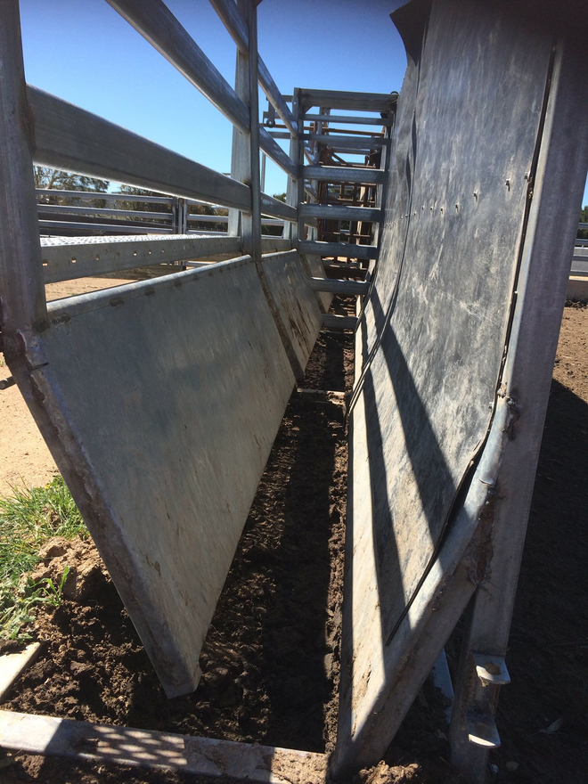 Custom made cattle V Race Livestock Equipment Livestock